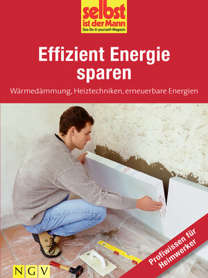 cover image of Effizient Energie sparen--Profiwissen für Heimwerker